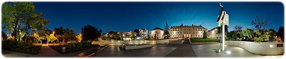 Przeprowadzki Rumia Bagażówka